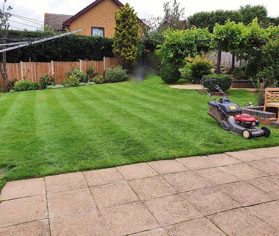 Lawn cutting service, lawn mowing service - Lee's Garden Services